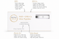 CellForm Glow & NAD + Peptide Pen